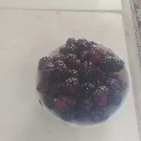 فروش شاهتوت