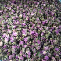 غنچه گل محمدی  تازه امسالی