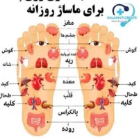 ماساژور با تجربه (اقا )