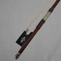 موی آرشه ویولن