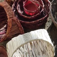 فروش یکجا ۵۶ عدد سبدگل