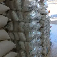 فروش عمده برنج ایرانی هاشمی کشت دوم نیم دانه