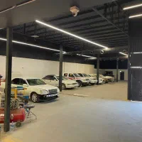 صافکار نقاش