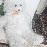 فروش عروسک خرسی