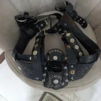 هیکلی علامت