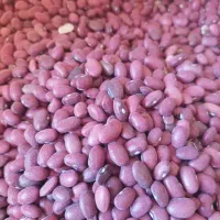 لوبیا قرمز بوجاری شده