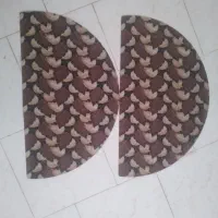 پادری