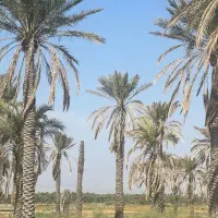 فروش زمین