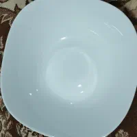 ظرف میوه اکورپال