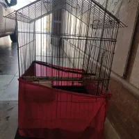 قفس پرنده