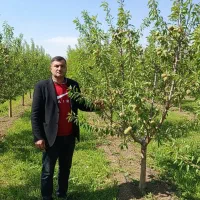 آغاز عرضه نـهــالـهـای بادام و غیره