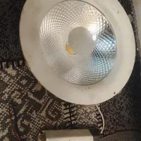 ال ای دی سخفی مغازه