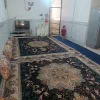 اجازه-آپارتمان-نود-متری-هم-کف-درالارد