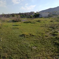 فروش-زمین