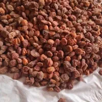 قاخ|خوردنی و آشامیدنی|قره ضیاالدین, |دیوار