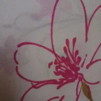 بالش از پر مرغوب