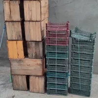 جعبه خرما وسبد رطب