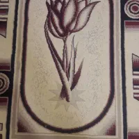 پادری