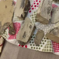 سنگ قیمتی شجر