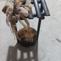 استند و گلدان