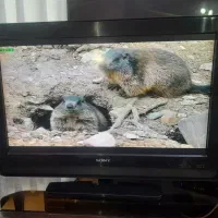 تلویزیون ال سی دی۳۲اینچ سونی براویاTVLCD