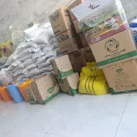 نیروی خانم