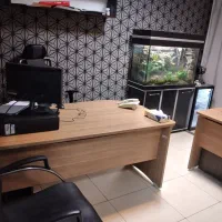 منشی اداری خانم