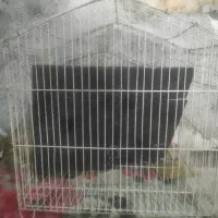 قفس خوکچه وسنجاب