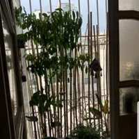۷۵متر/۲خواب/ط۳/تهران نو|اجارهٔ آپارتمان|تهران, آشتیانی|دیوار