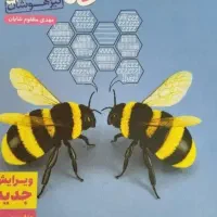 تیزهوشان نهم