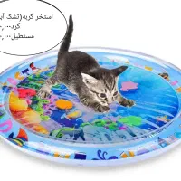 پت شاپ اکسسوری استخر گربه توپ موش لیزر پرزگیر