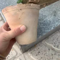 گلدان سفالی