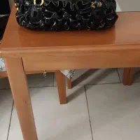 کیف زنانه، نو