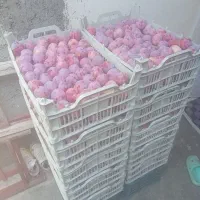 الوشابلون‌‌‌ارگانیک‌درجه‌یک