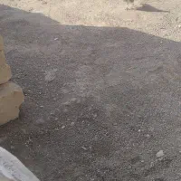 کبوتر
