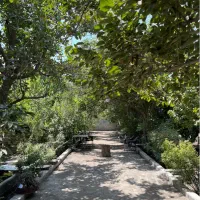 دو-قطعه-باغ-500-متری-در-رزکان-شهریار