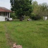 زمین باغی مسکونی واقع در چوکام