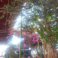 کارگر برای سفره خانه