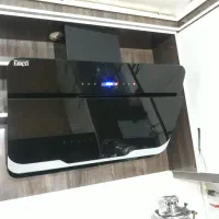 هود و سینگ دوقلو