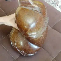 تار قدیمی رشیدی ملایری