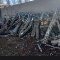 خرید  انواع چوب