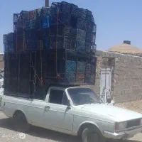 استخدام نیسان ، وانت برای سبد جمع کردن