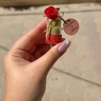 گیفت حنای  اقتصادی