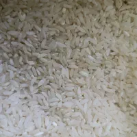 معاوضه برنج لنجان با گردو