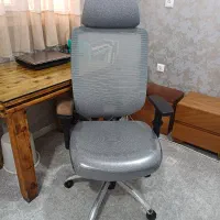 صندلی طبی و مدیریتی و مطالعه