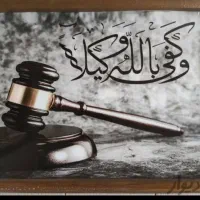 وکیل حرفه ایی و کار کشته