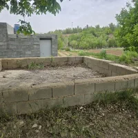 زمین-باغی