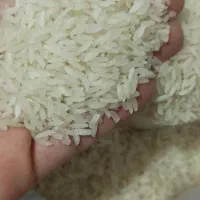 برنج ایرانی