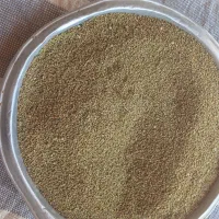 فروش شنبلیله