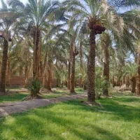 فروش باغ بروات